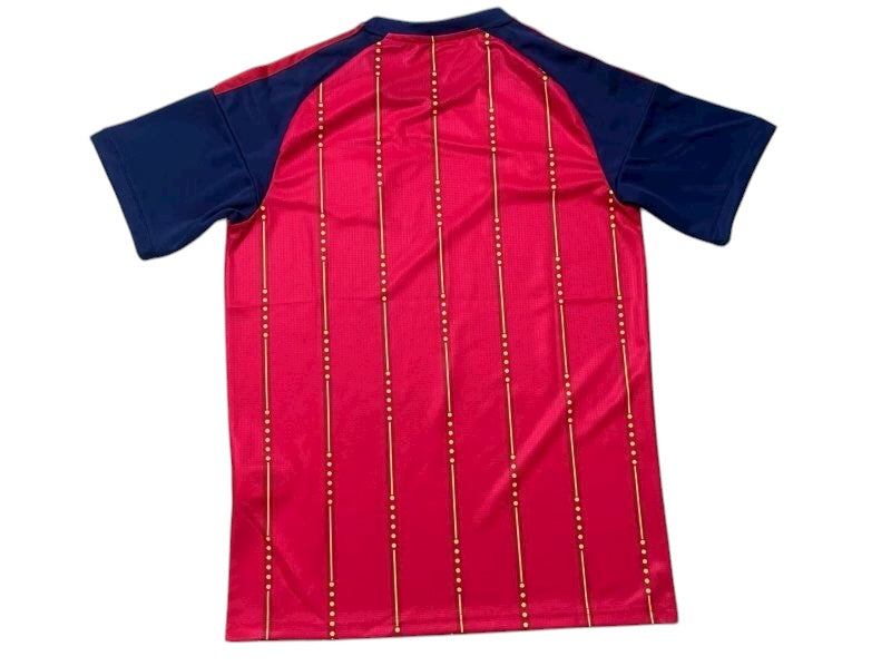 Spain World Cup 2026 Standard