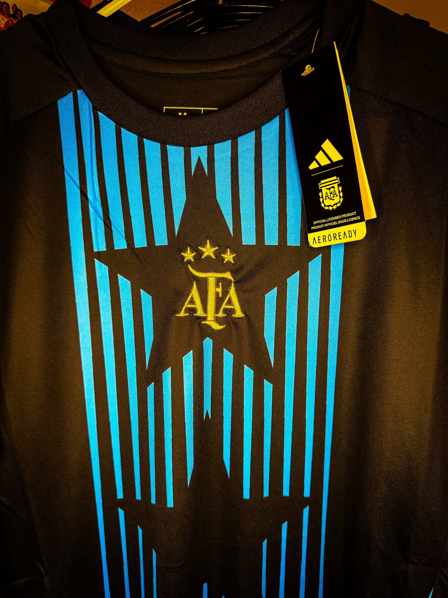 Argentina Copa America 2024 Warmup Jersey