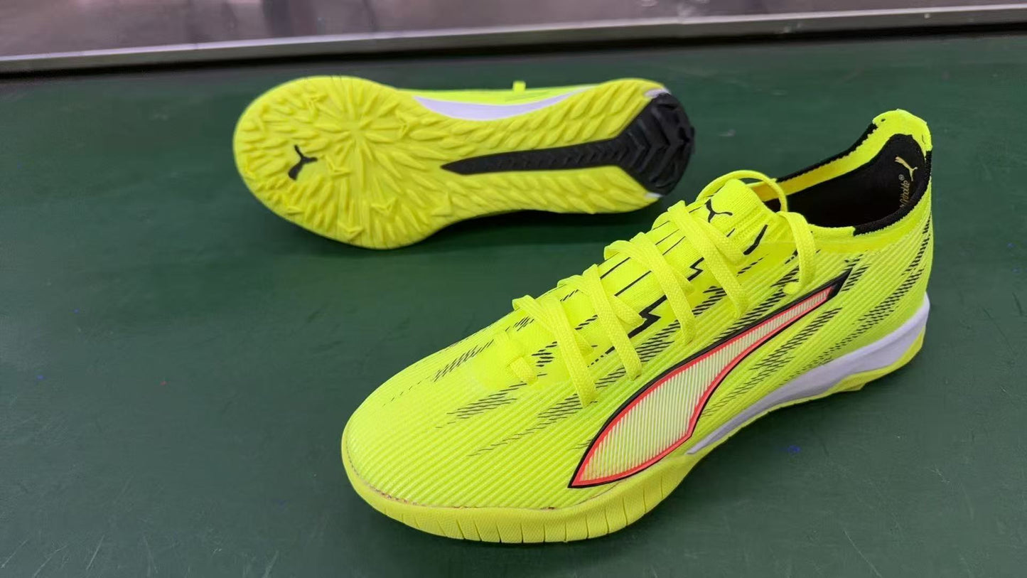 King Platinum “Unleashed” Indoor