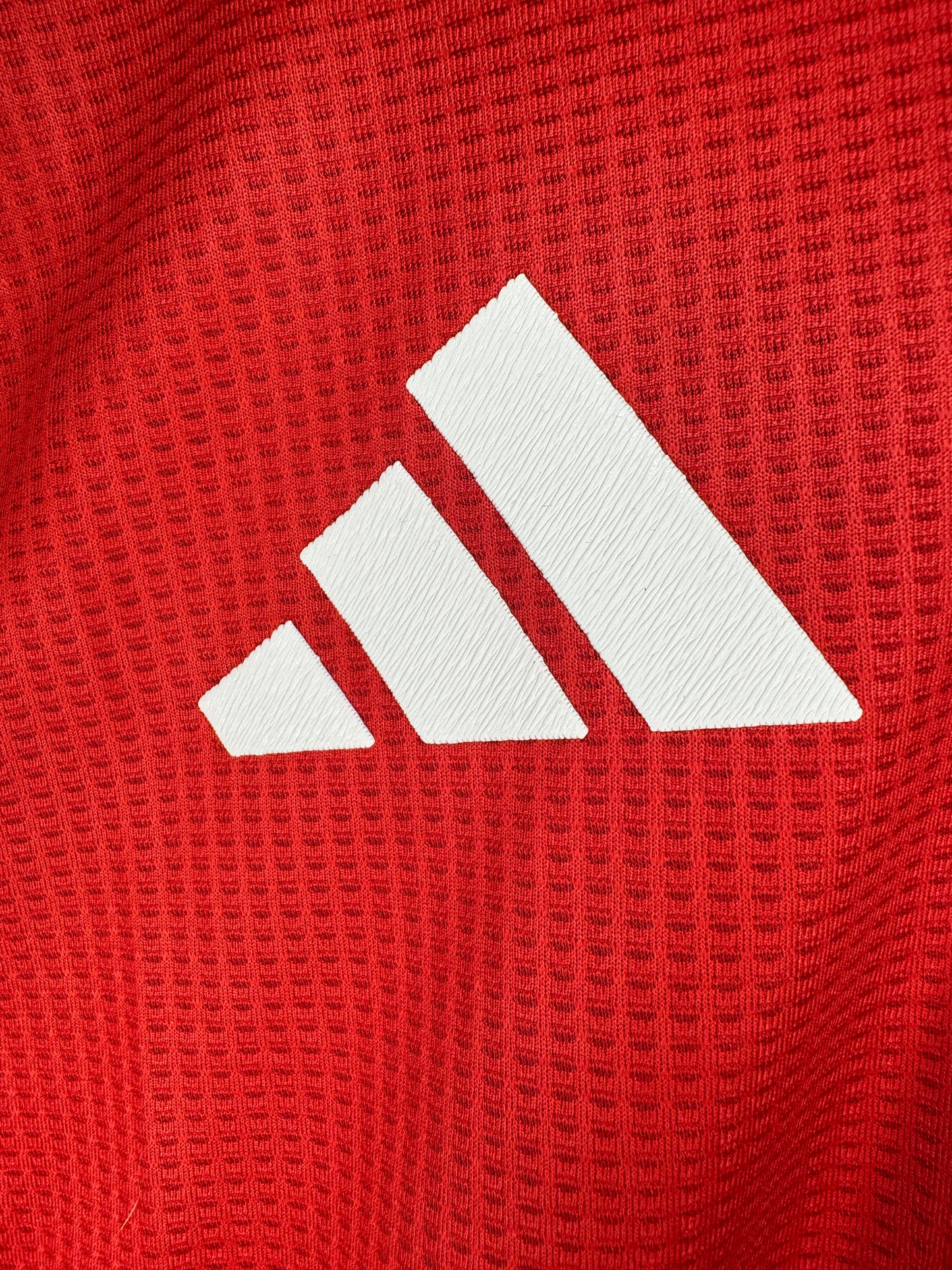 Manchester United Home 2024/2025 Player Issue