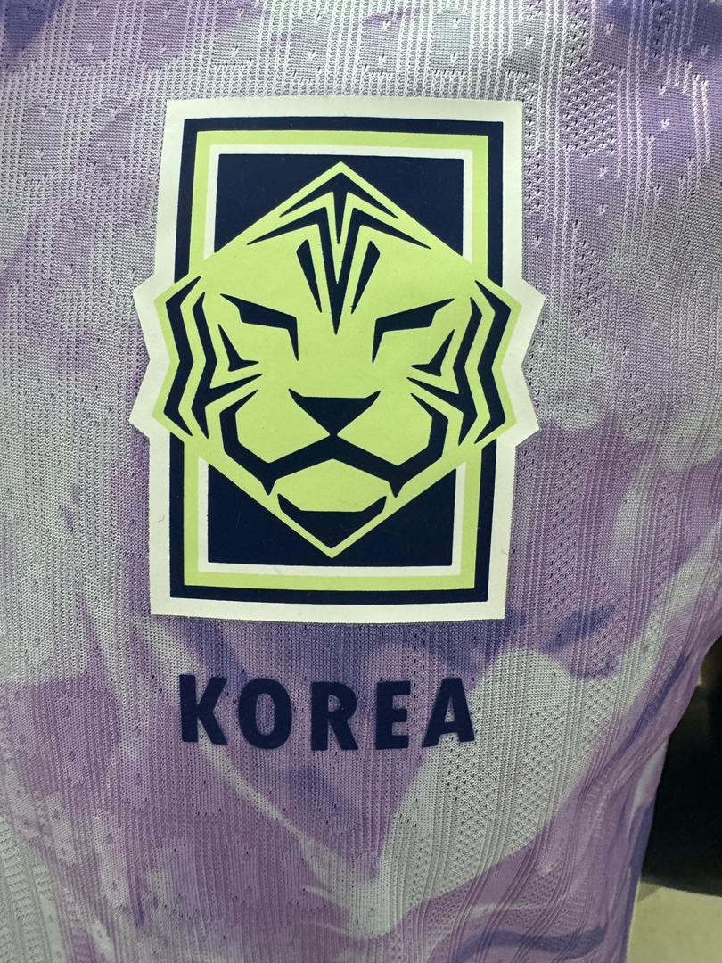 South Korea 2026 World Cup Player Issue