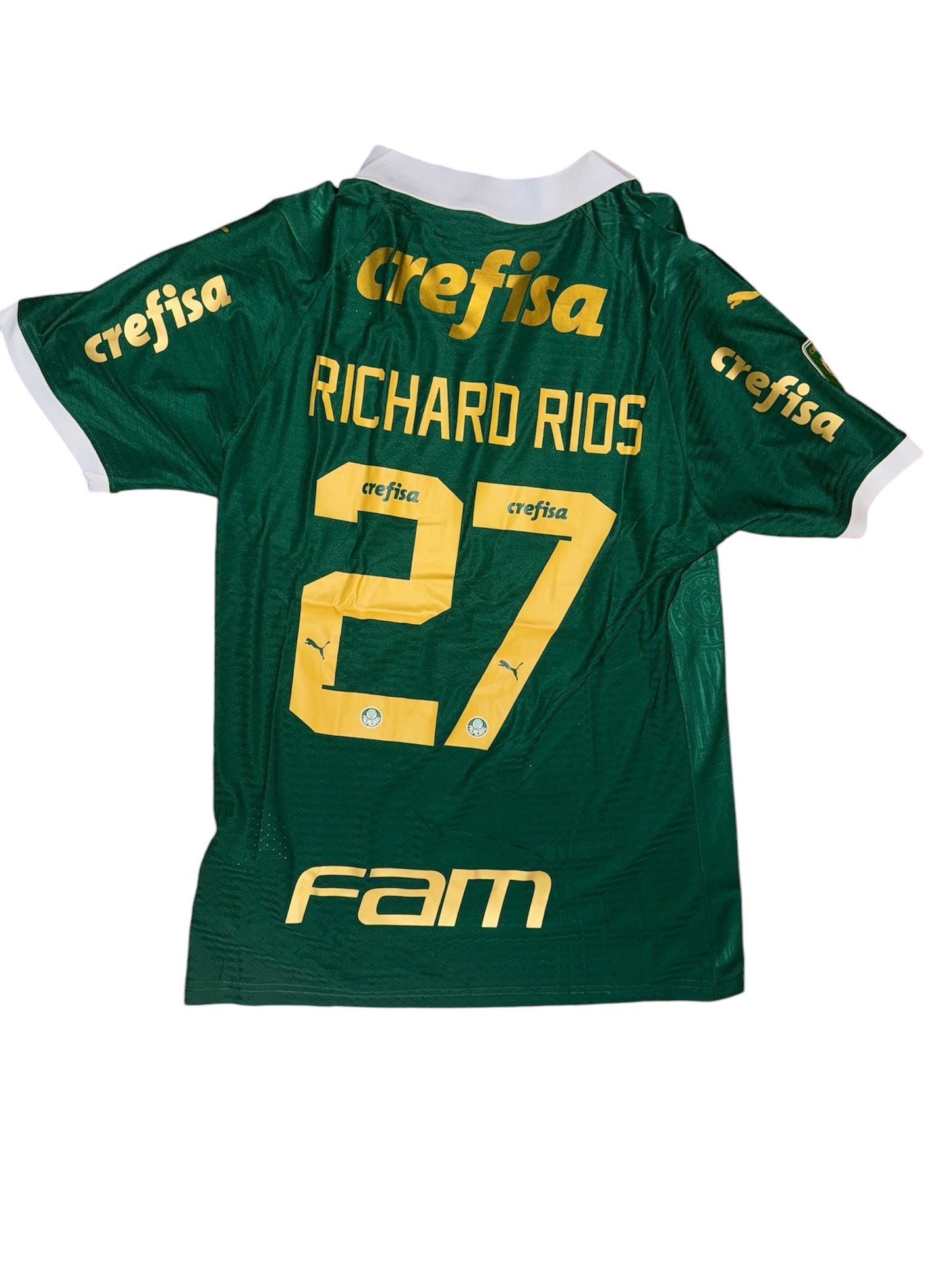 Palmeiras Home 2024 Player Issue