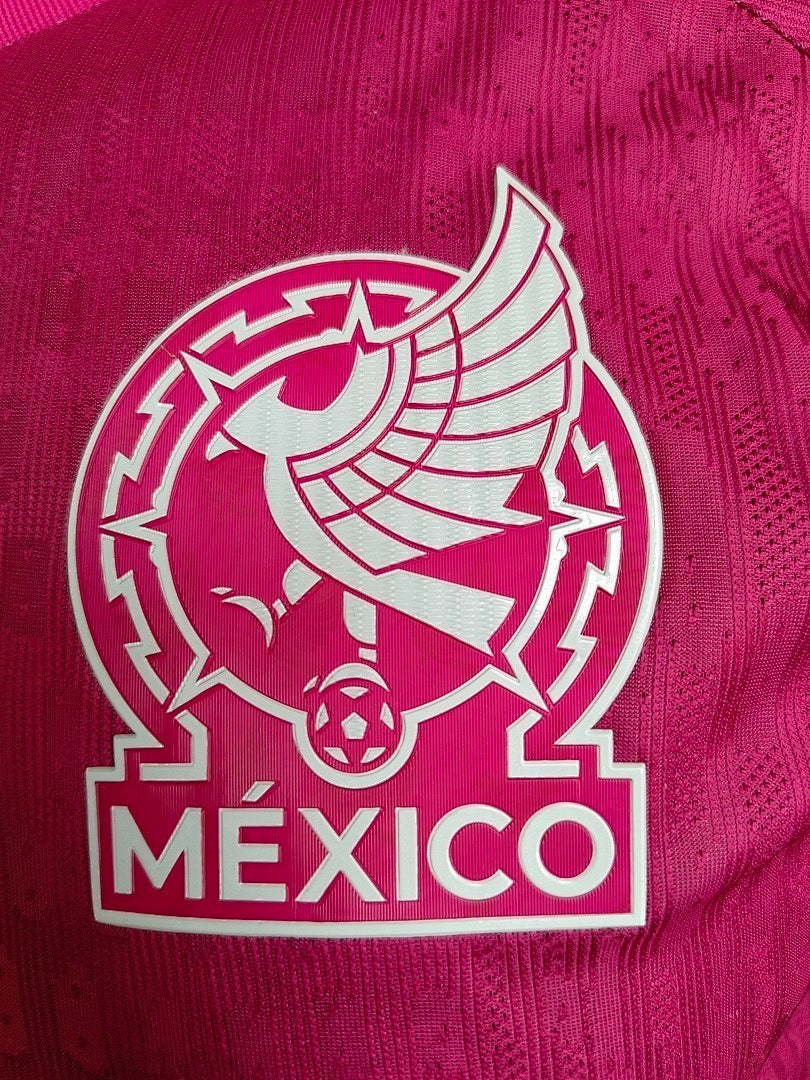 Mexico 2026 World Cup Goalkeeper Player Issue