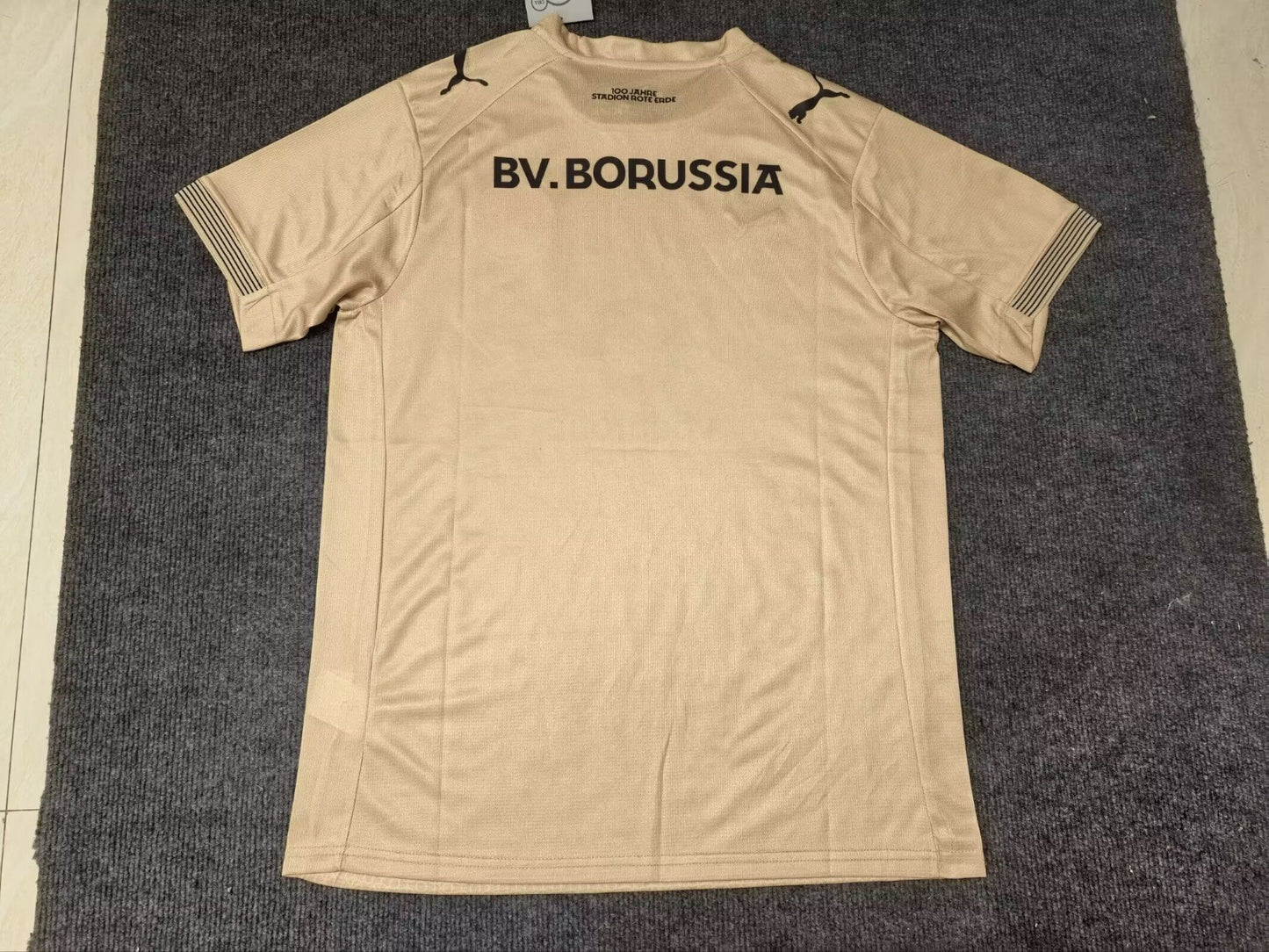BVB 2025/2026 Goalkeeper Standard