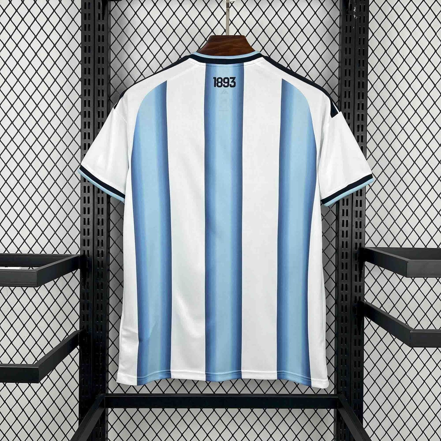 Argentina World Cup 2026 Home Standard