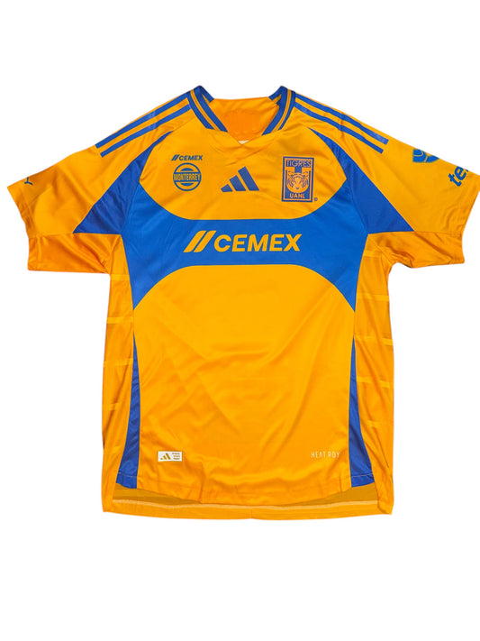 Tigres UANL Home Player Issue