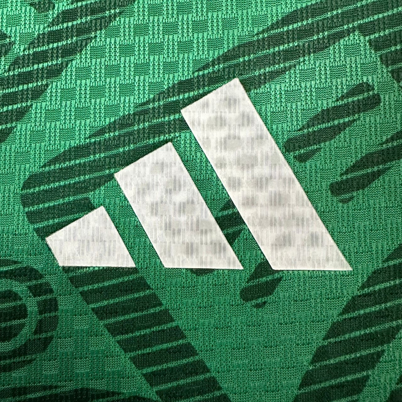 Mexico World Cup 2026 Home Player Issue