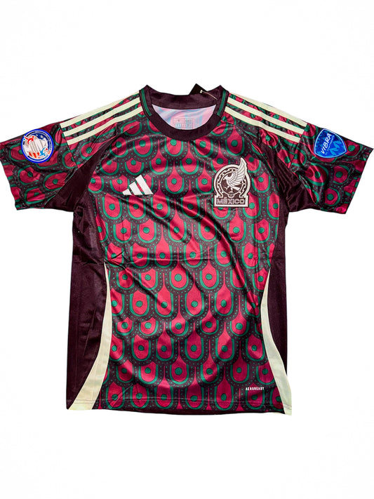 Mexico 2024 Home Standard