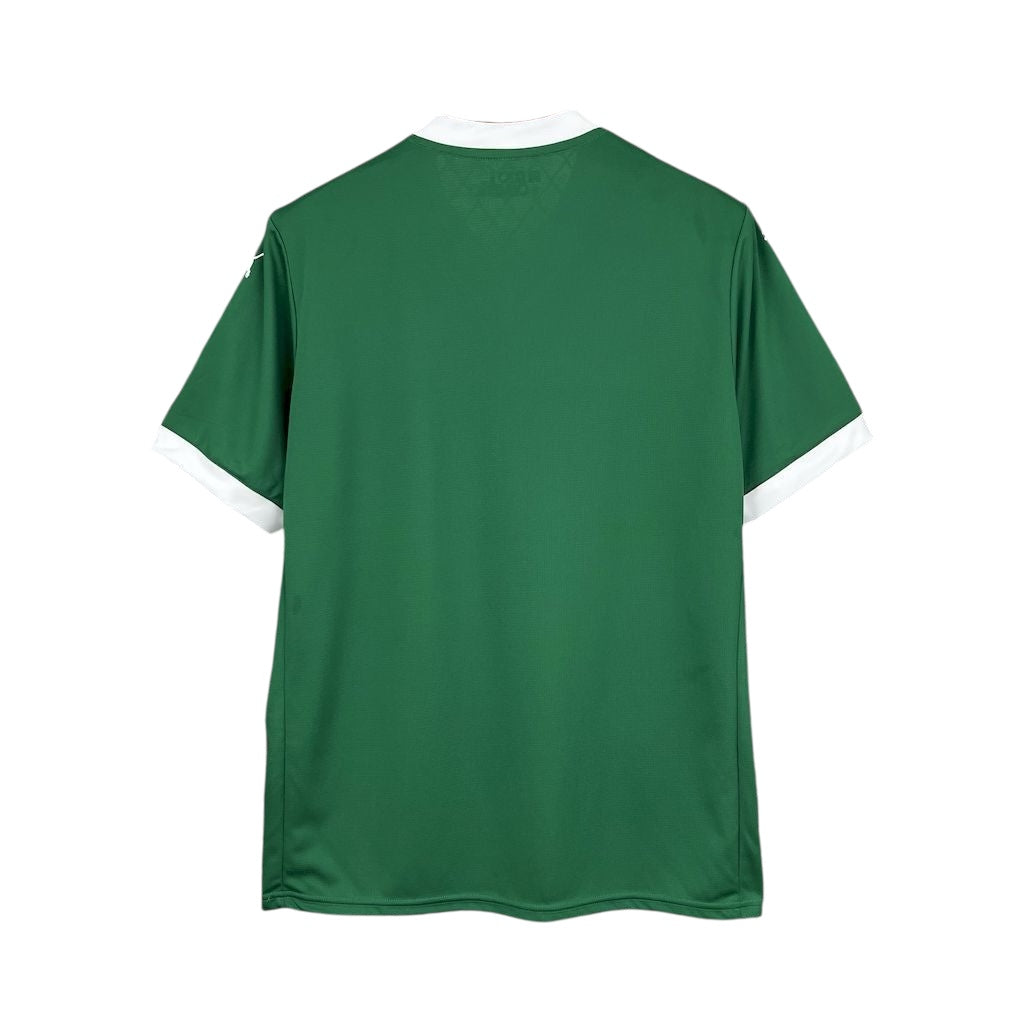 Palmeiras 2025 Home Standard