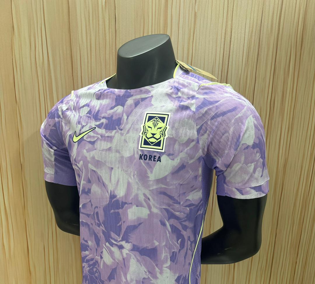 South Korea 2026 World Cup Player Issue