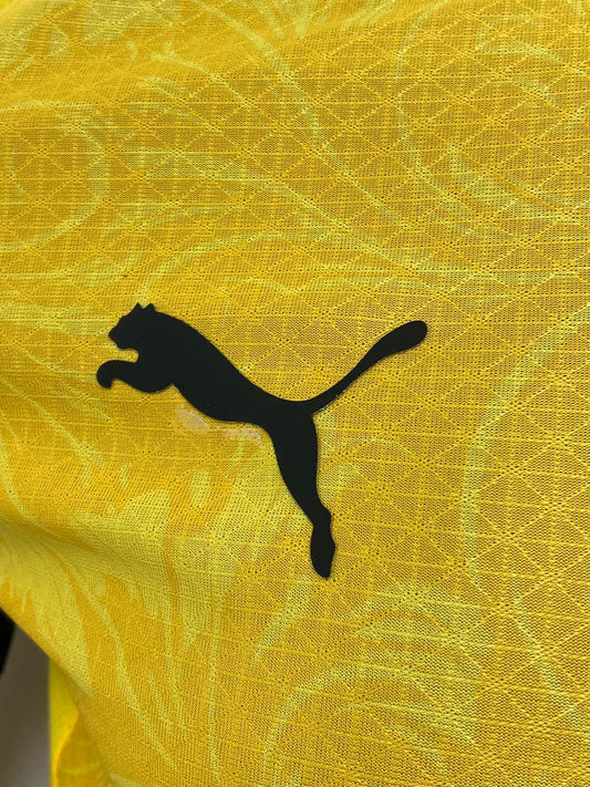 Borussia Dortmund 2025/2026