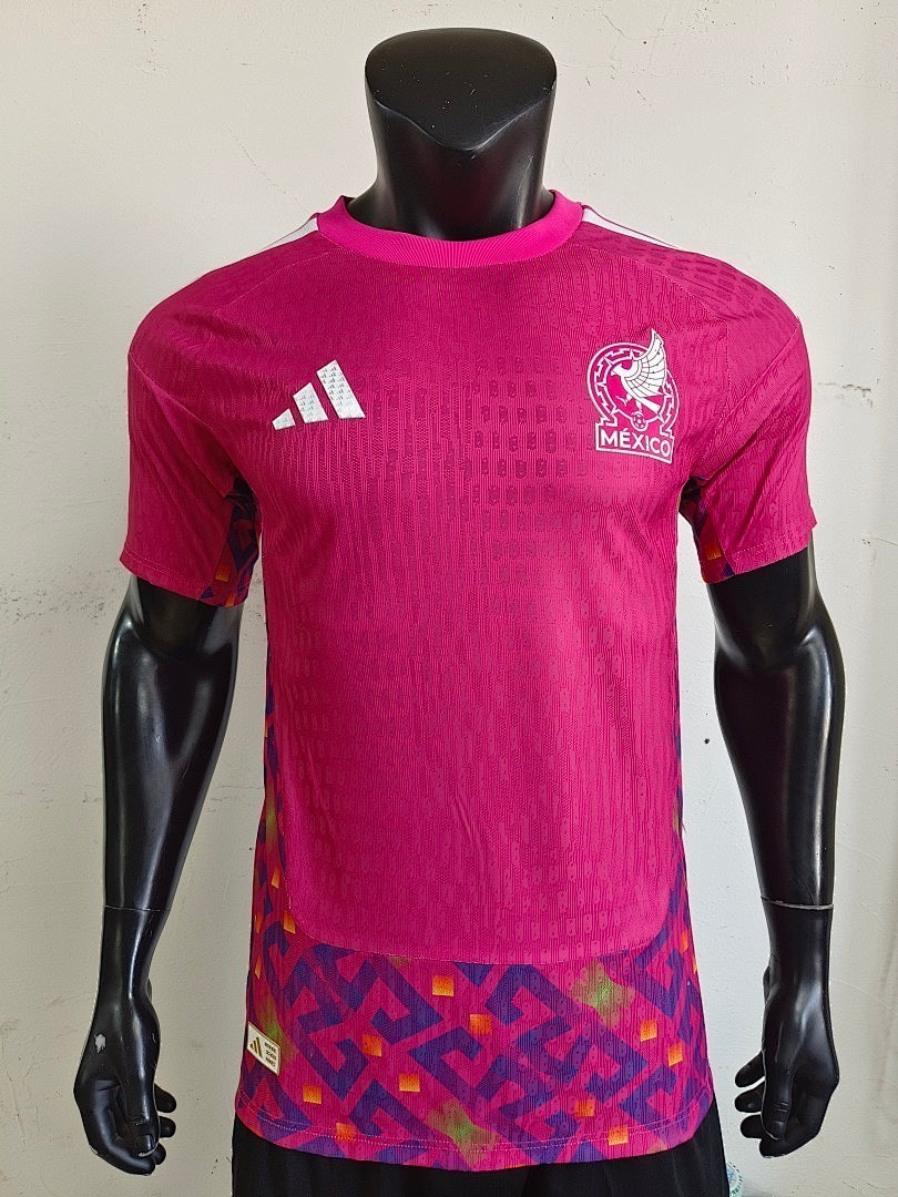 Mexico 2026 World Cup Goalkeeper Player Issue