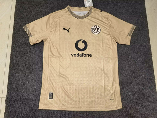 BVB 2025/2026 Goalkeeper Standard