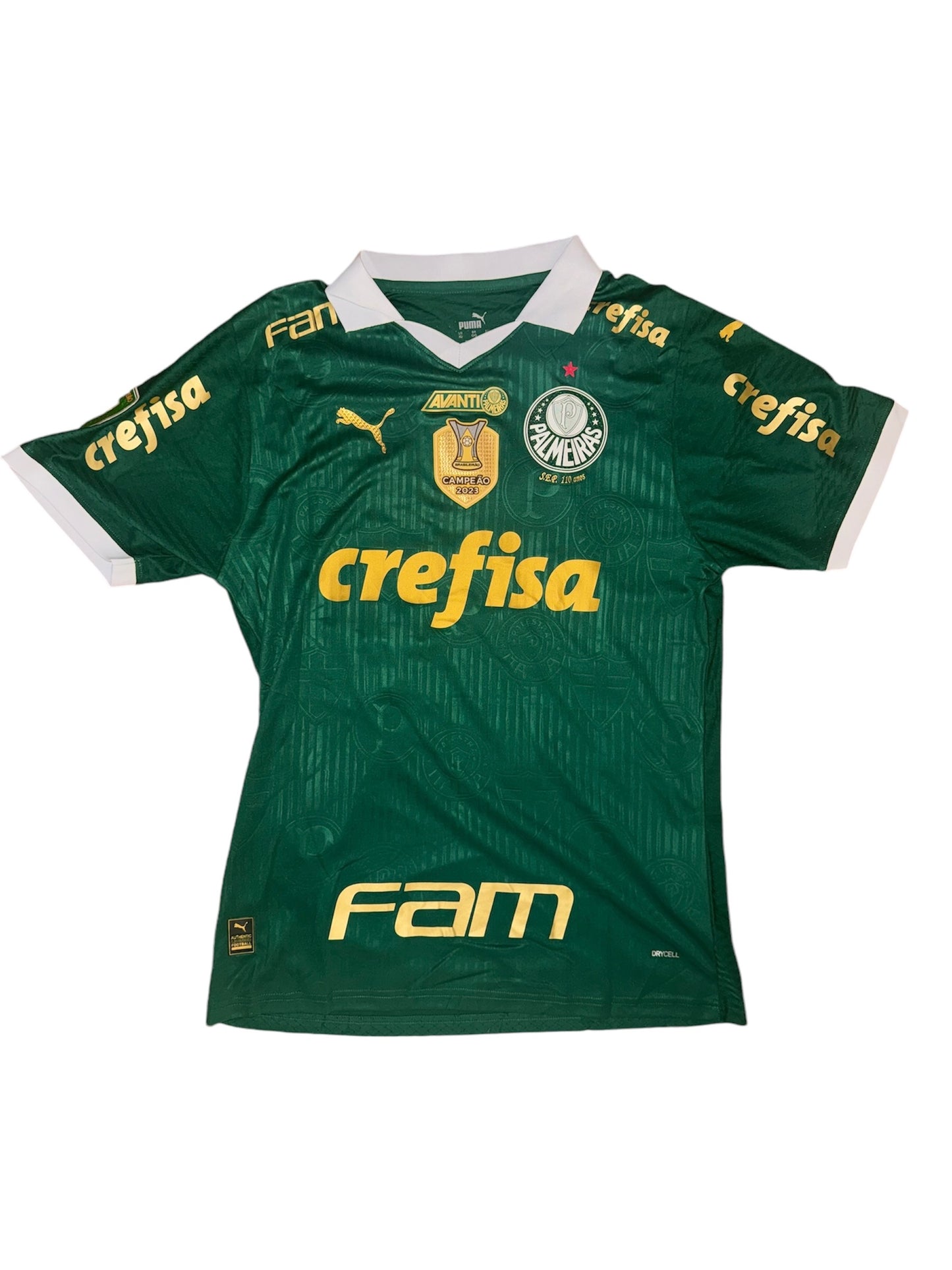 Palmeiras Home 2024 Player Issue