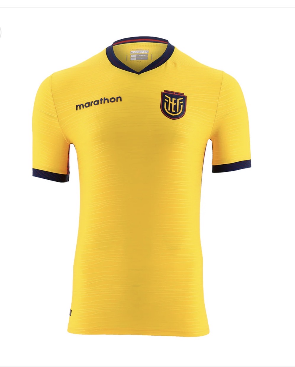 Ecuador 2026 World Cup Home Player Issue