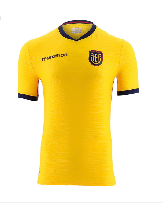 Ecuador 2026 World Cup Home Player Issue