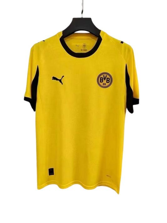 Borussia Dortmund 2025/2026 Home Standard