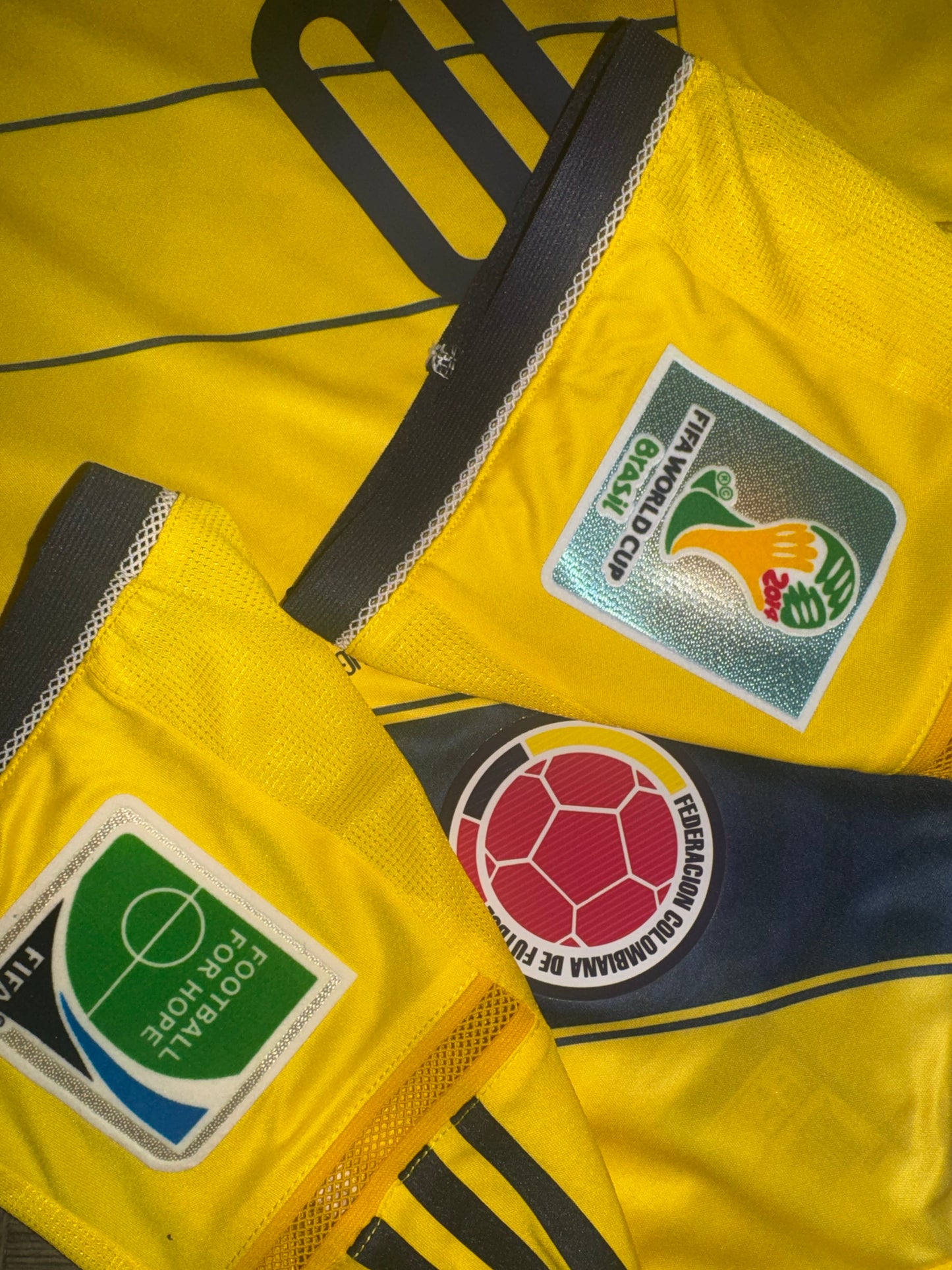 Colombia 2014 World Cup Home