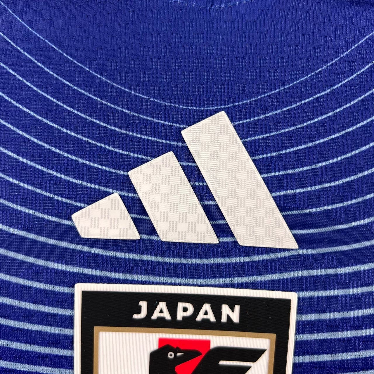 Japan World Cup 2026 Player Issue