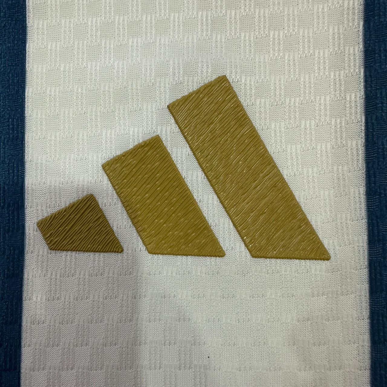 Argentina World Cup 2026 Home Player Version