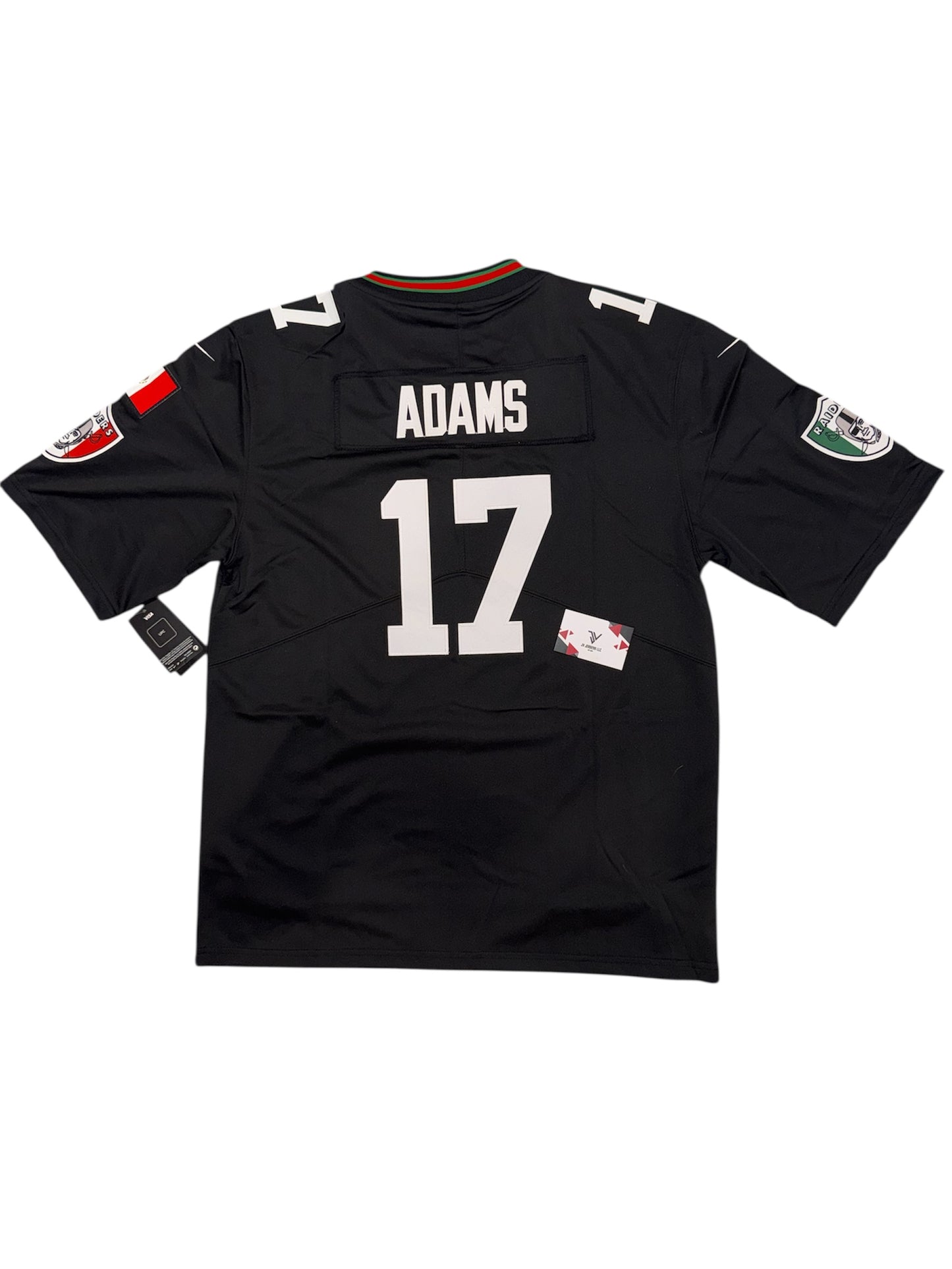 Las Vegas Raiders NFL X México