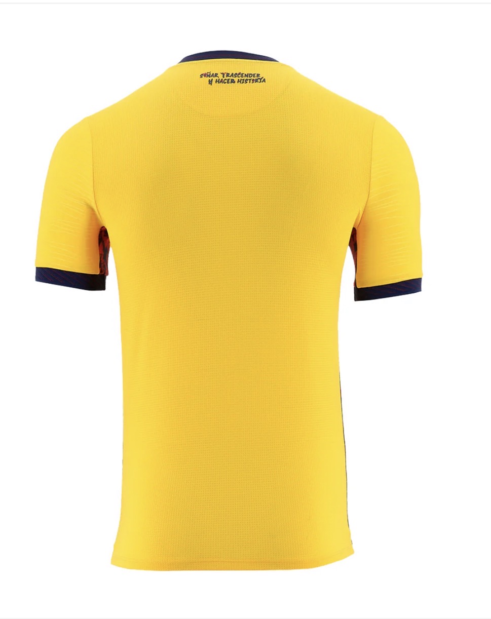 Ecuador 2026 World Cup Home Player Issue