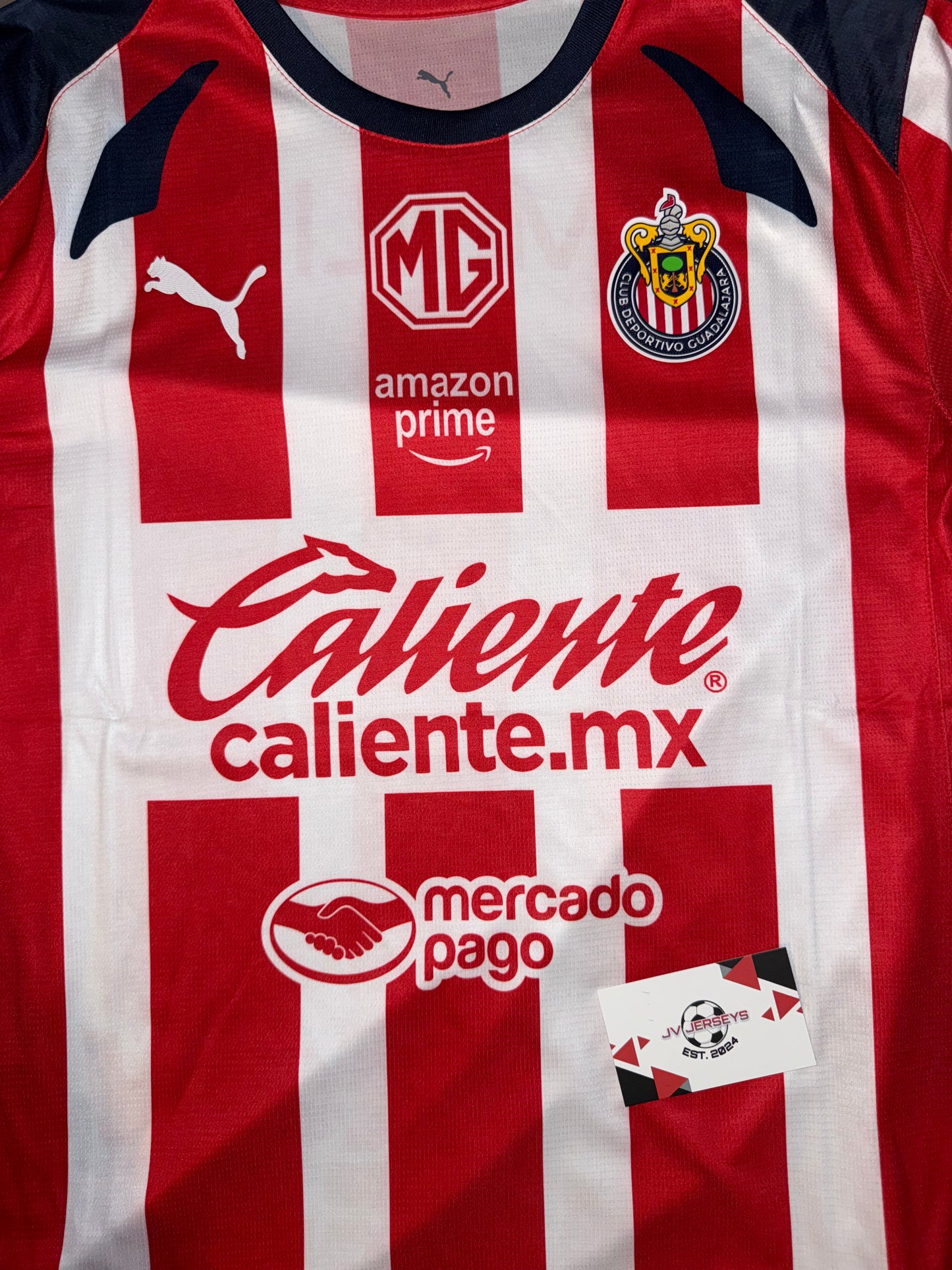 Chivas 2025/2026 Home Standard