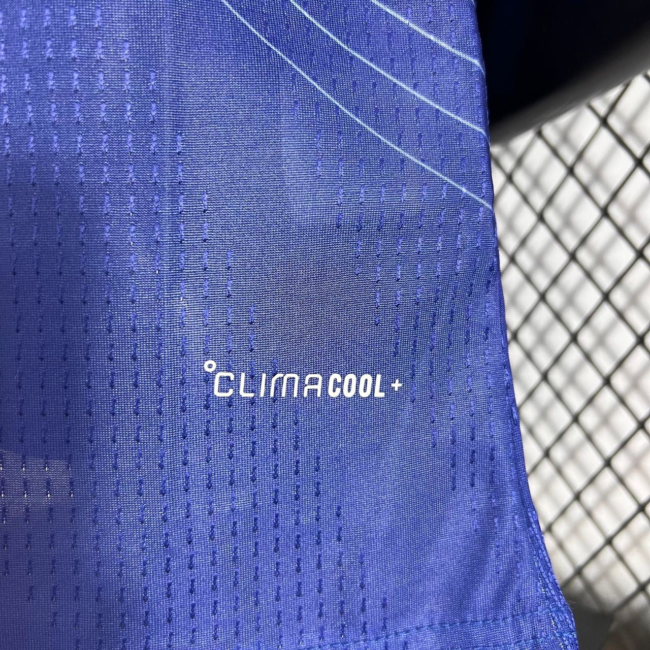 Japan World Cup 2026 Player Issue