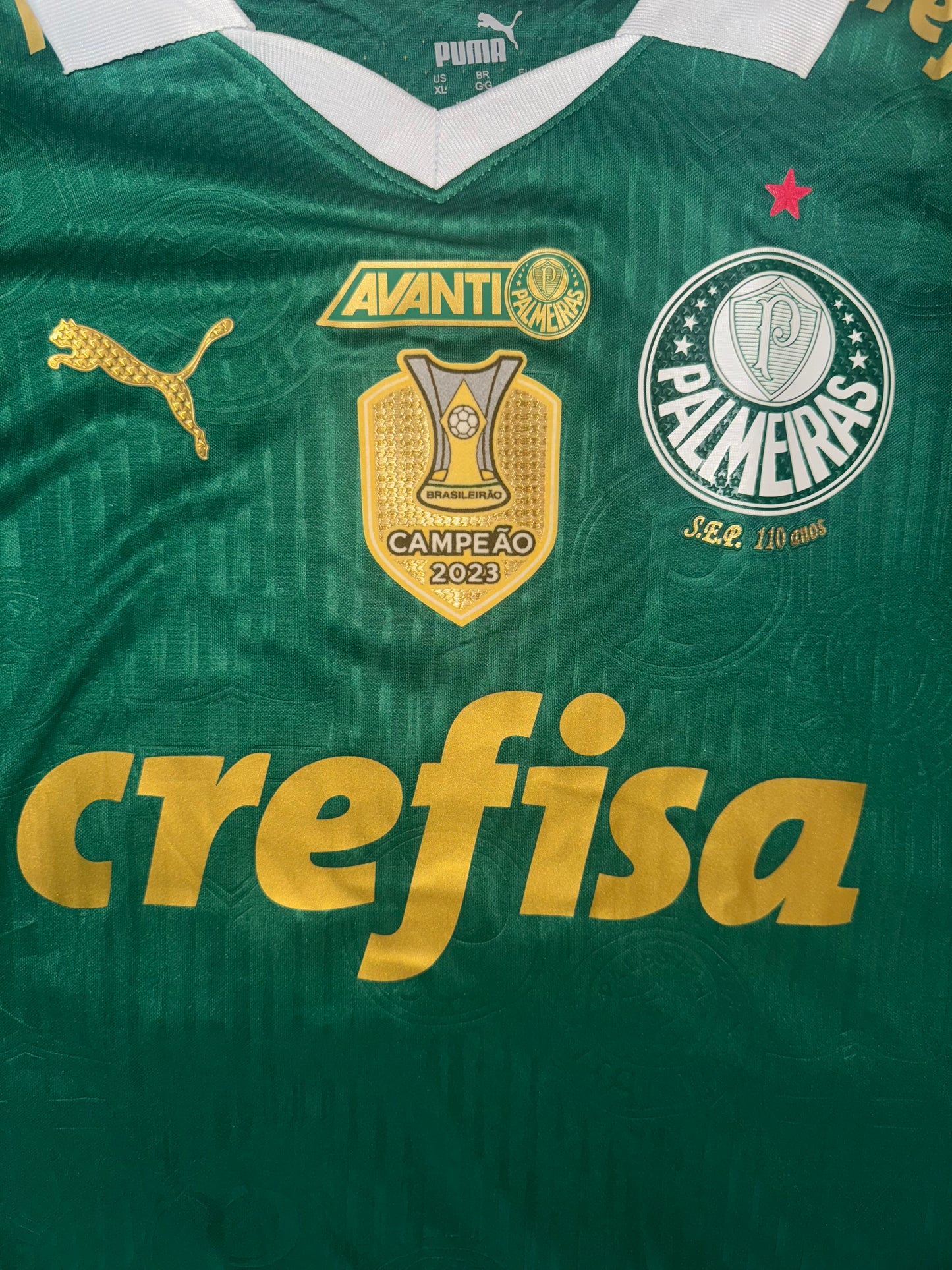 Palmeiras Home 2024 Player Issue