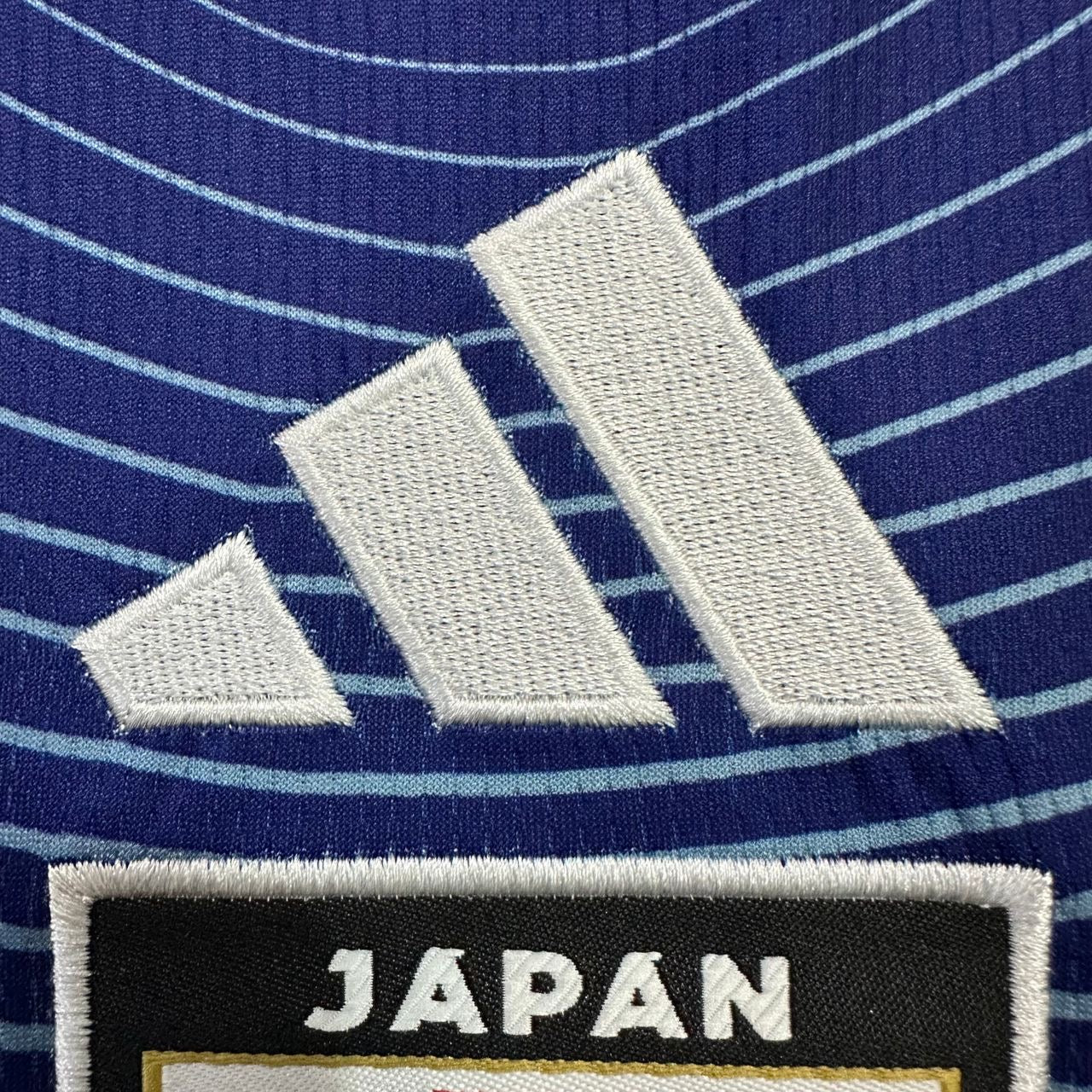 Japan World Cup 2026 Player Standard