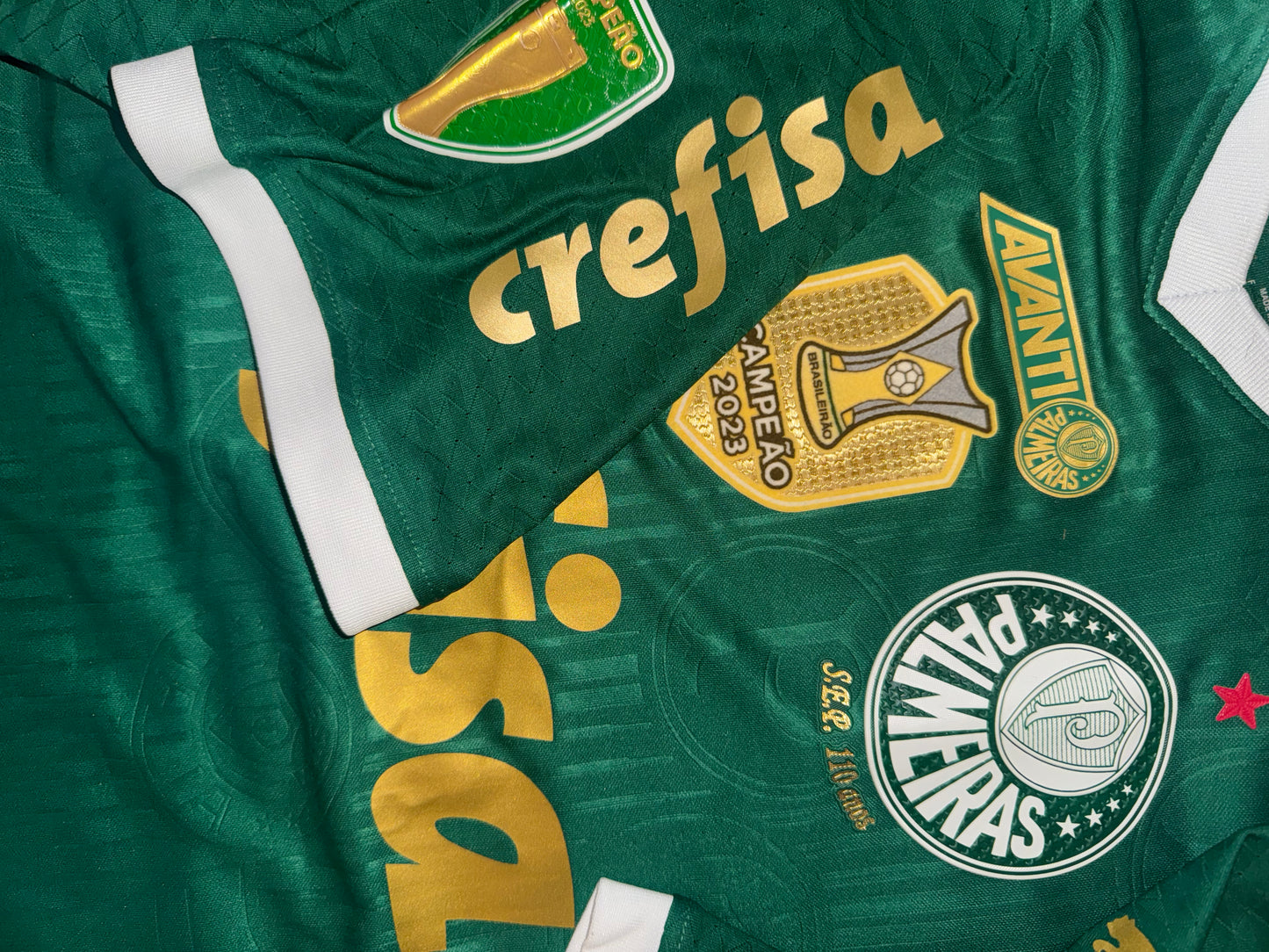 Palmeiras Home 2024 Player Issue