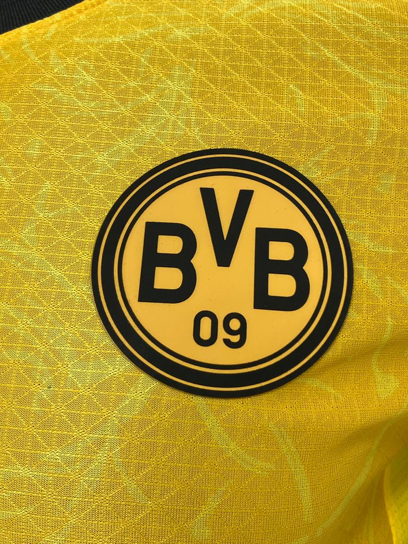 Borussia Dortmund 2025/2026