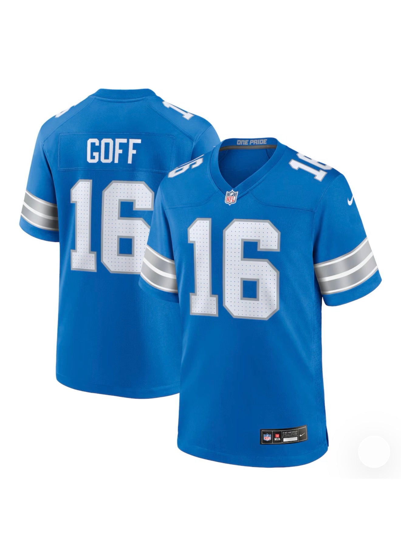 Detroit Lions NFL Home
