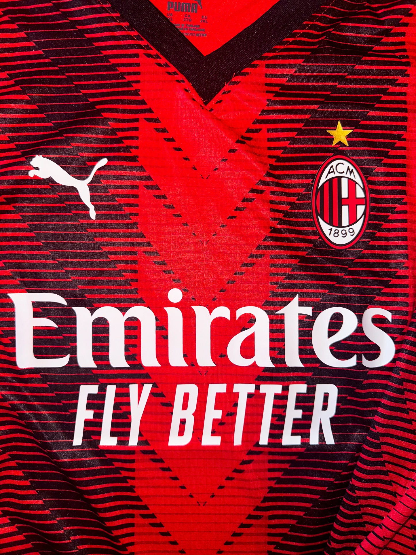 AC Milan 23/24 Player Issue